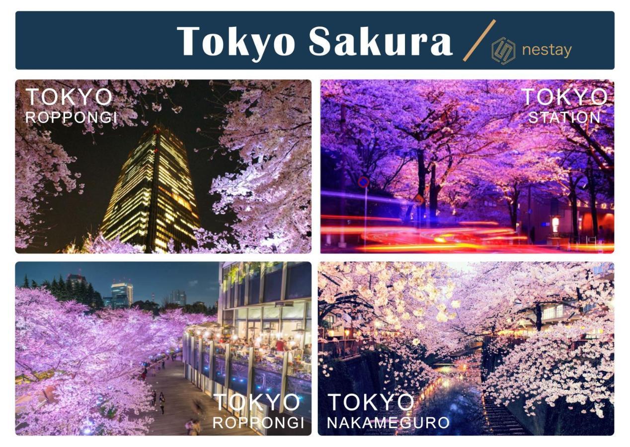 Nestay Villa Tokyo Shinjuku מראה חיצוני תמונה